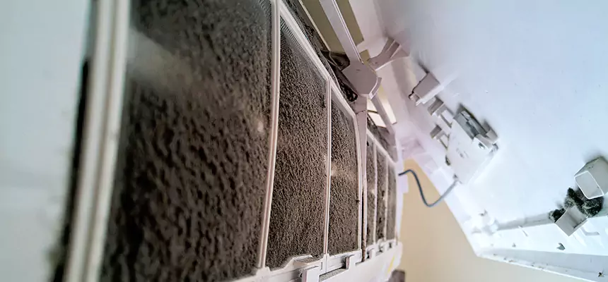 Preventive Air Duct Bacteria Removal in Vista