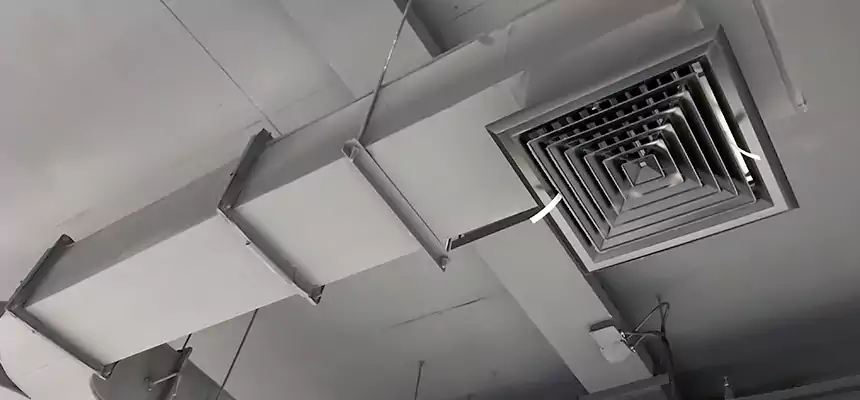 Restorative Allergy Relief Vent Cleaning – Coil, Blower & Housing Detail in Vista