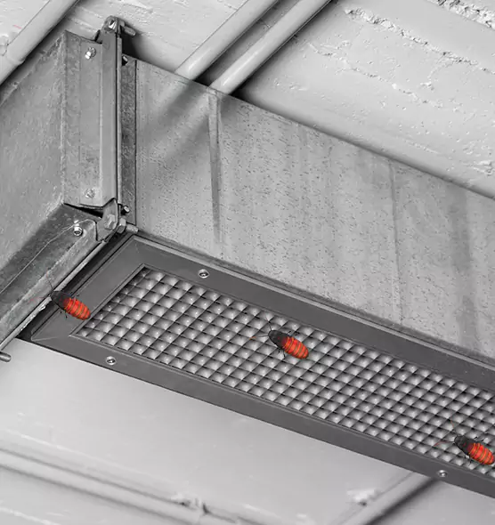 Affordable Insect Removal from Air Ducts in Vista, CA