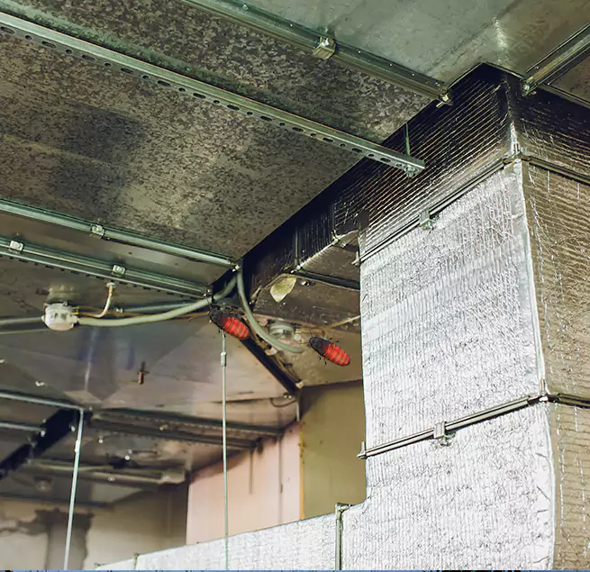 Why Homeowners & Businesses Trust Us in Vista, CA?