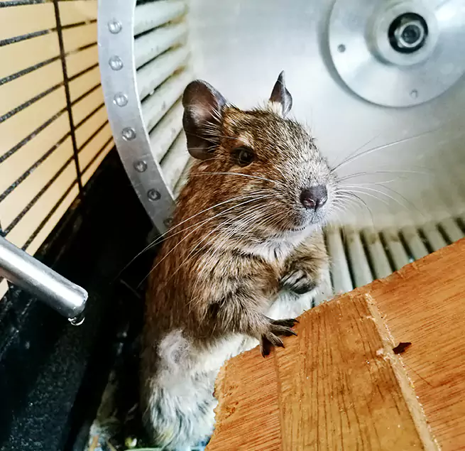 Why Homeowners & Businesses Trust Us Vista, CA