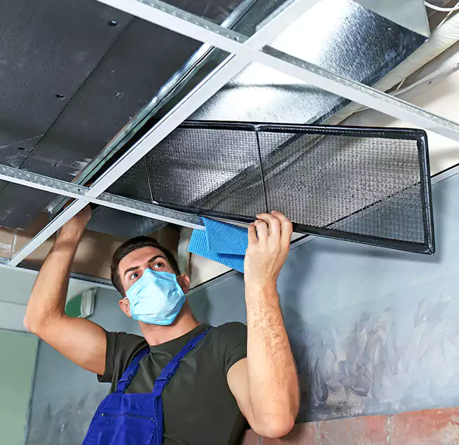 Why Homeowners Businesses Trust Us in Vista, CA